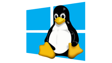 windows machine to linux server